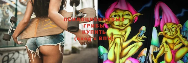 дмт Мегион