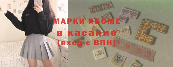 прущие грибы Медногорск
