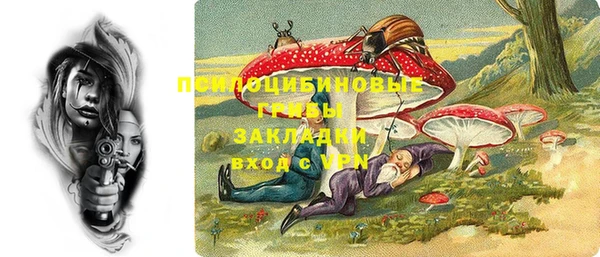 шишки Абдулино