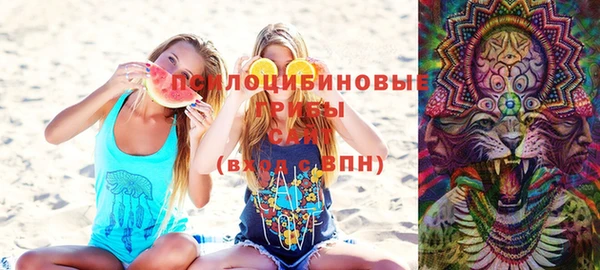 шишки Абдулино
