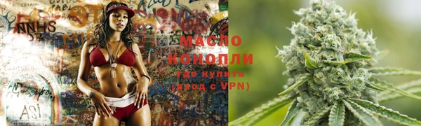 прущие грибы Медногорск