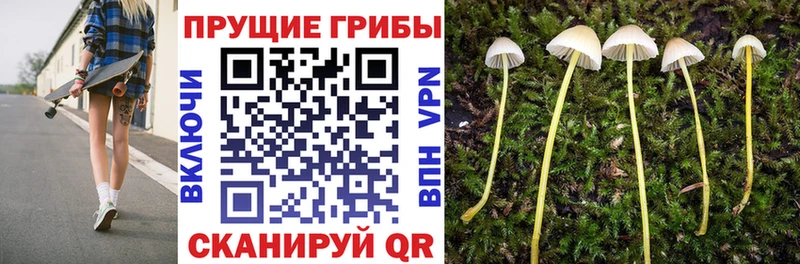 Галлюциногенные грибы GOLDEN TEACHER Чекалин